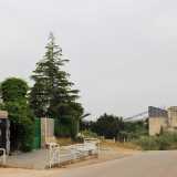 ...conducendoci poche centinaia di metri prima di entrare a Noicattaro al santuario
